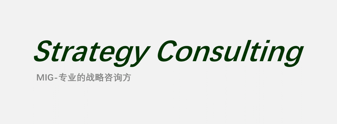 梅特國際集團(tuán)（簡稱MIG）