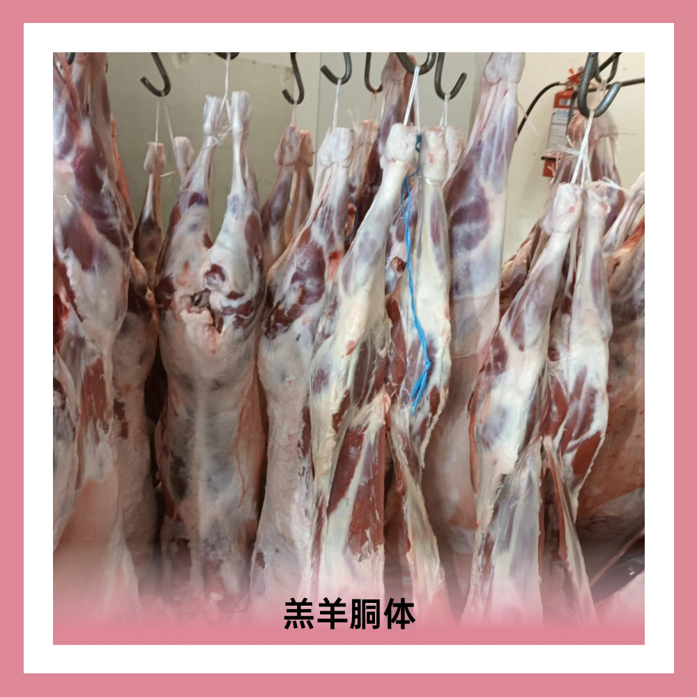 奕鋒（青島）農(nóng)牧發(fā)展有限公司